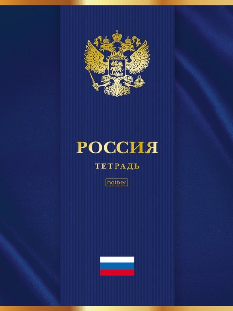 Тетрадь А4 96л кл Россия