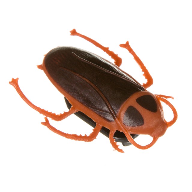 Таракан сползает по стеклу Превью 1